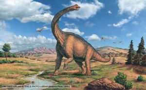 The Dinosaurs